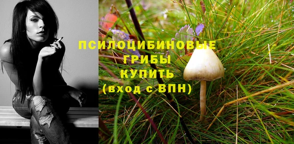 круглые Нефтекумск