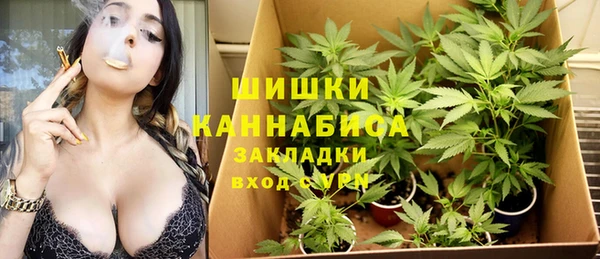 хмурый Верхний Тагил